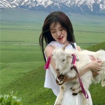 韩赛尔与格蕾特